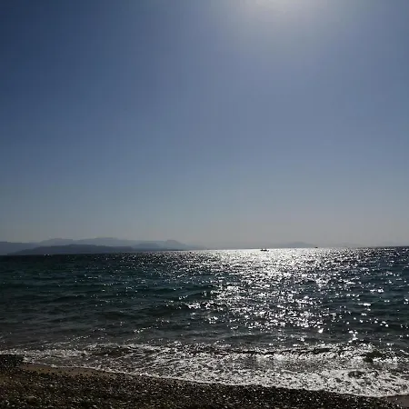 Kiki's * 巴尔巴蒂