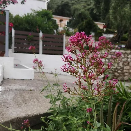 Kiki's 公寓 巴尔巴蒂