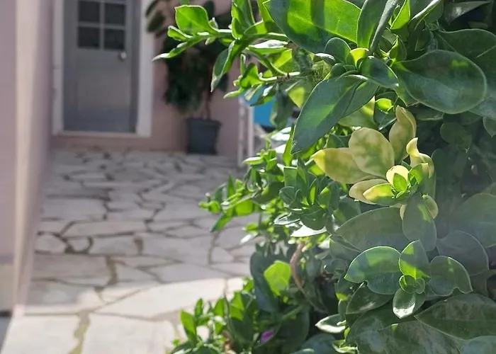 דירה Kiki's *
